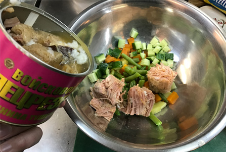 Салат со свининой и огурцами – вкусный рецепт салата с тушенкой из свинины Войсковой Спецрезерв