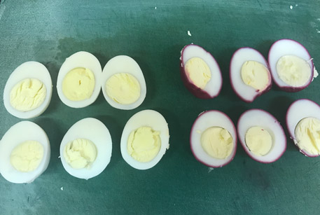 Яйца фаршированные рецепты с фото вкусные
