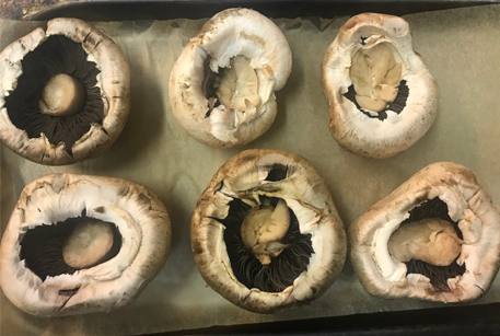 Курица с грибами – вкусный рецепт второго блюда