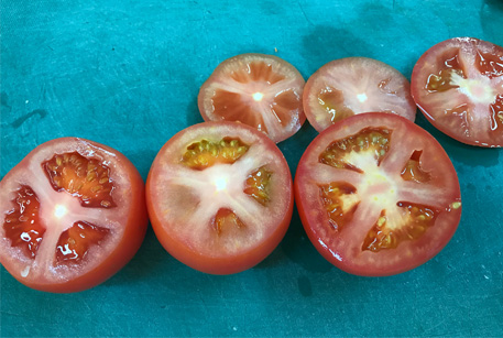 Рецепт фаршированных помидоров – рецепт в духовке от шеф-повара