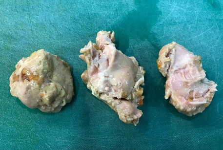 Филе цыпленка царская курочка – куриная тушенка для рецептов с фото